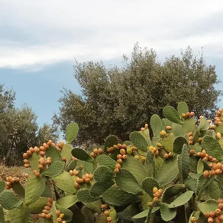 I Bronzi Di Riace * Riace Marina